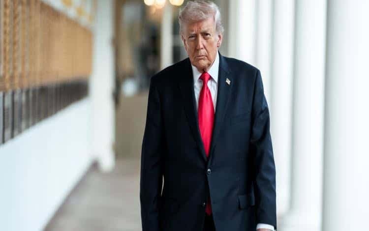 Image from Diario Presente