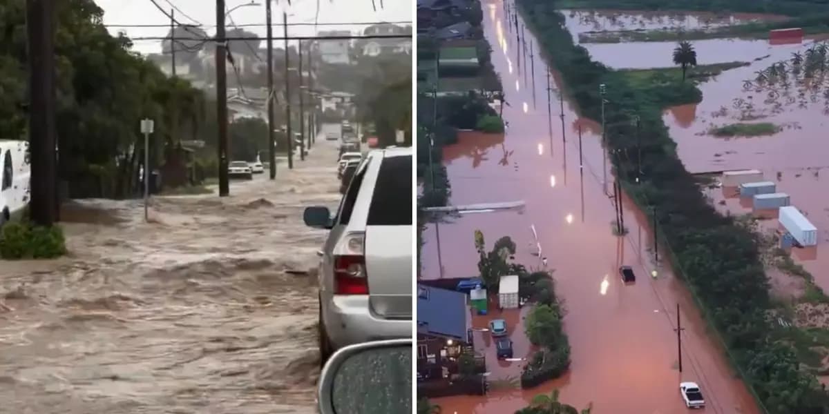 Image from POSTA México