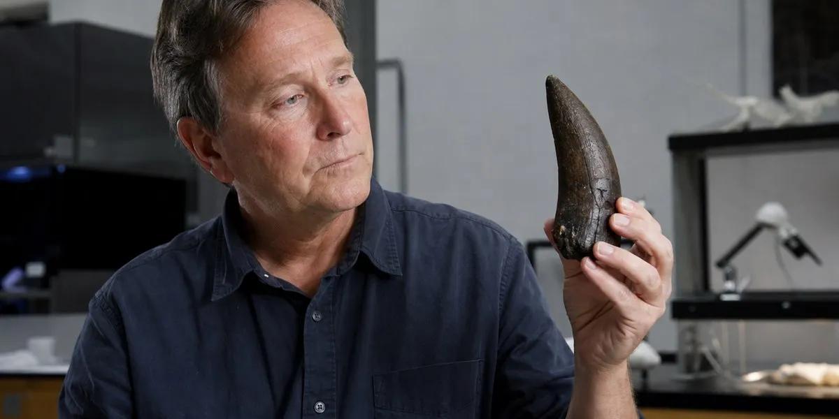 UCLA Researchers Estimate T. Rex Body Temperature at 36 Celsius Using Enamel Chemistry