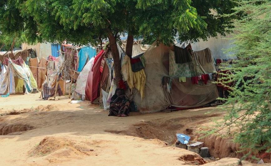 Image from allAfrica