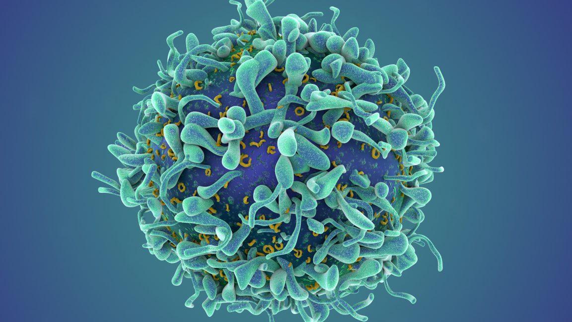 Image from Ars Technica