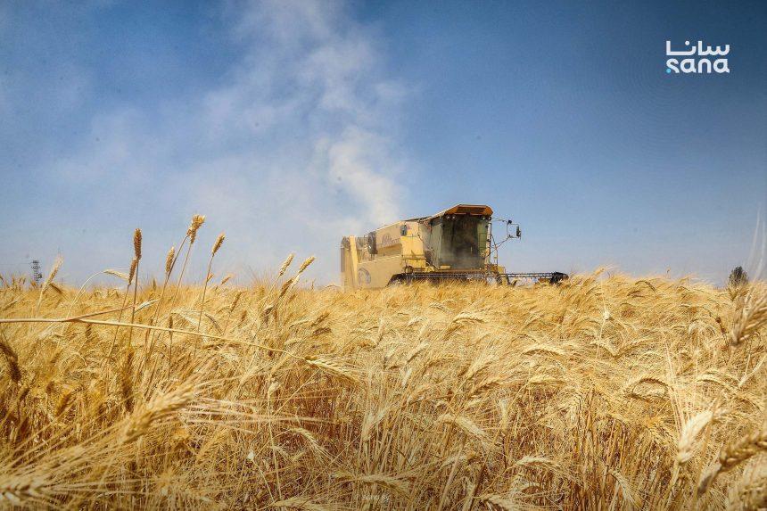 Iran Allows 20 Pakistani-Flagged Ships To Transit Strait Of Hormuz, Two Vessels Per Day