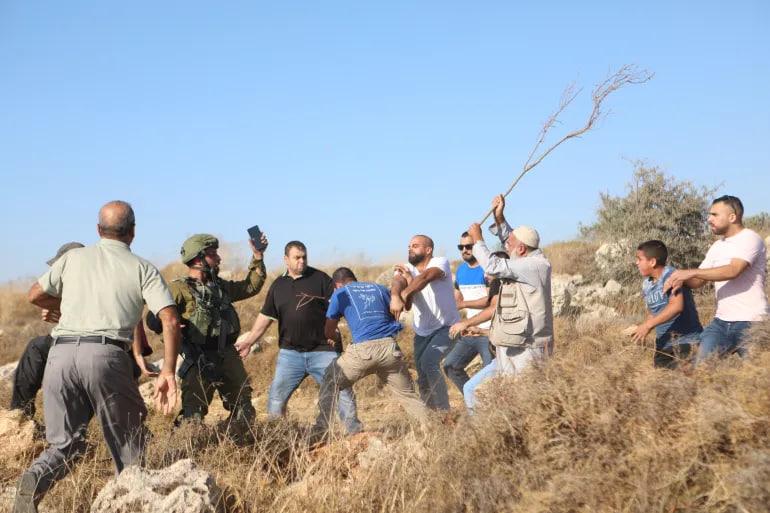 OCHA Says Israeli Settler Attacks Exceed 3,000 in West Bank Since 2025