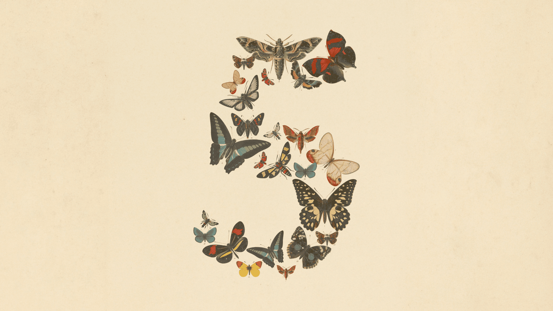Image from Anthropic