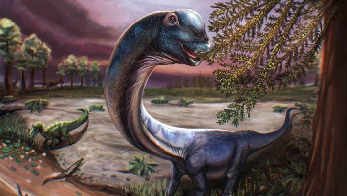Paleontologists Identify Nagatitan Chaiyaphumensis, Thailand’s Largest Dinosaur From Khok Kruat Formation