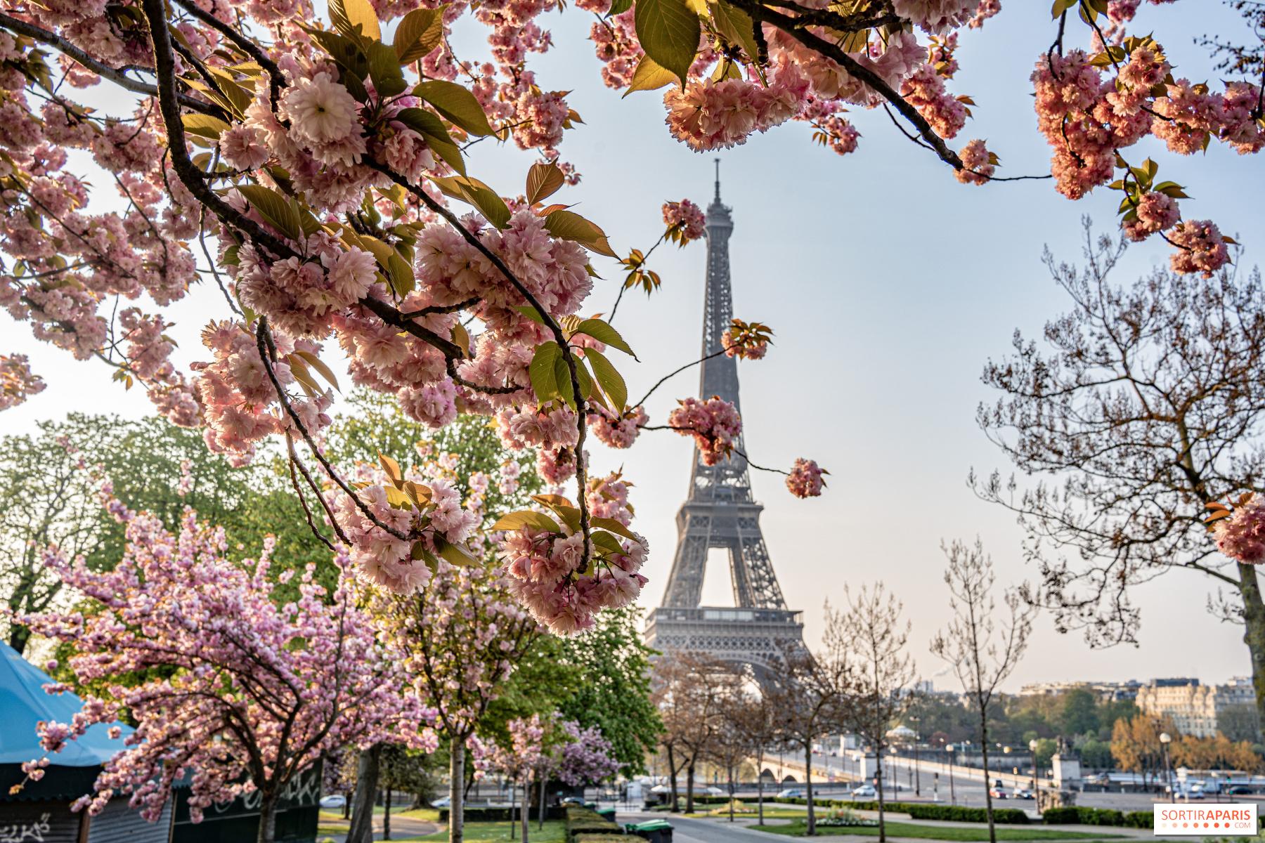 France Forecasts Easter Weekend Sun and Mild Temperatures as Rain Clears in Île-de-France