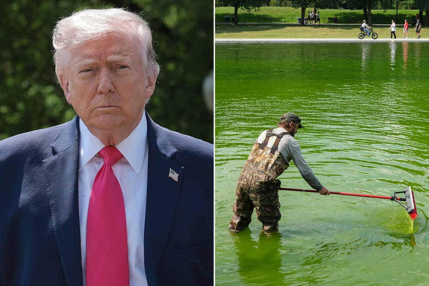 Trump Renovation Turns Lincoln Memorial Reflecting Pool Green as Blue Material Peels Off