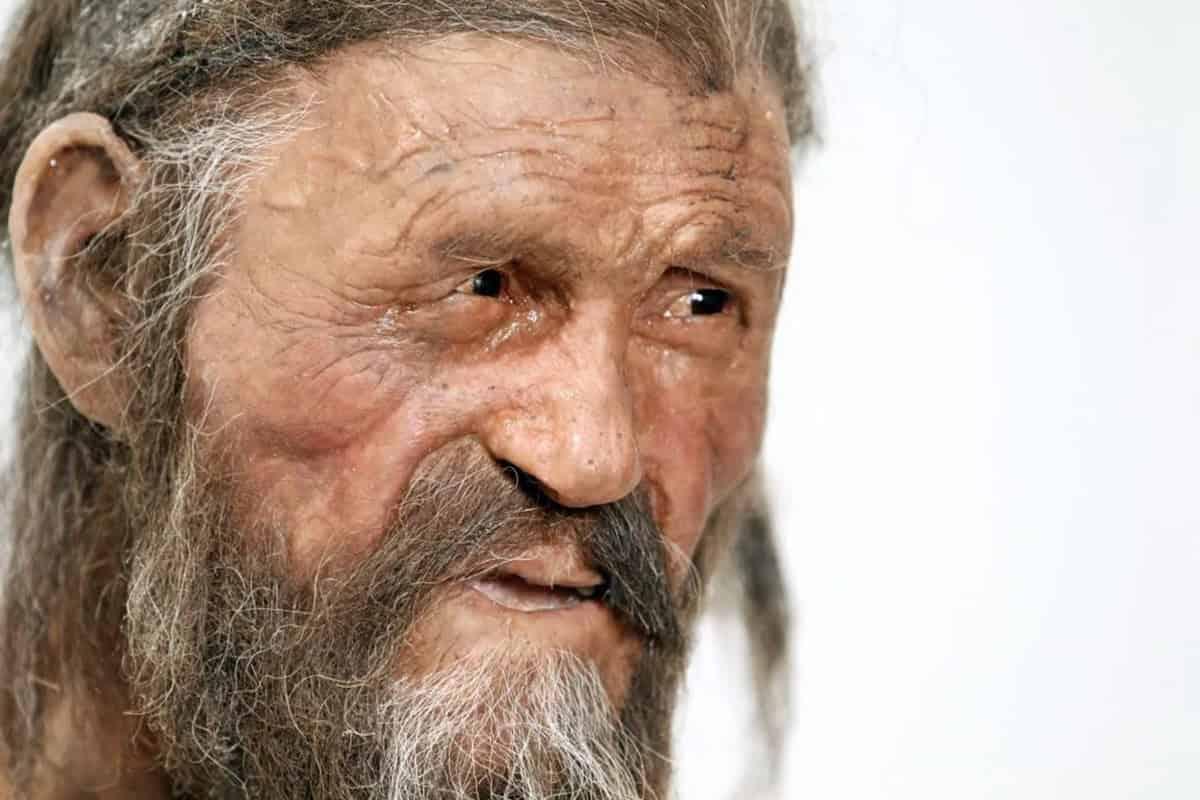 Scientists Make Sourdough Bread With Yeast From Ötzi the Iceman’s Mummified Body