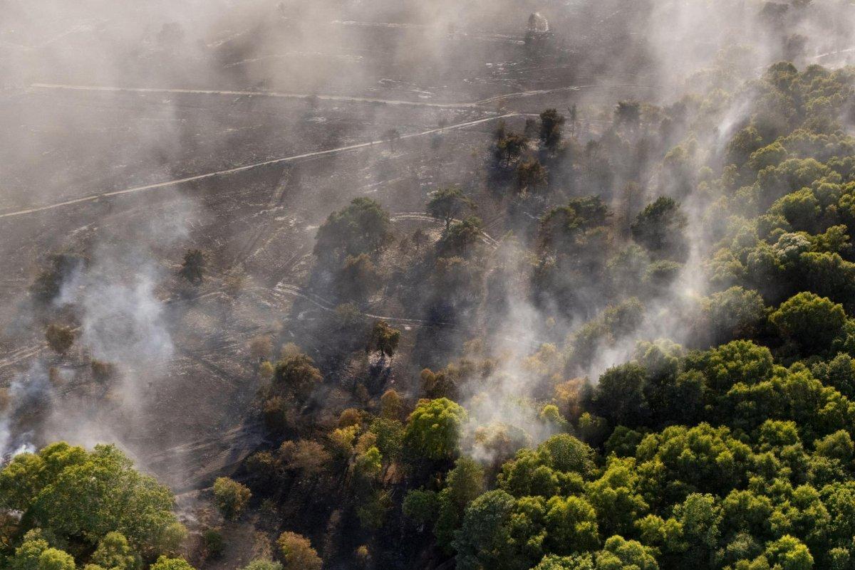 Andy Burnham Orders Nationwide Emergency Alert and Disposable Barbecue Ban as Wildfires Spread
