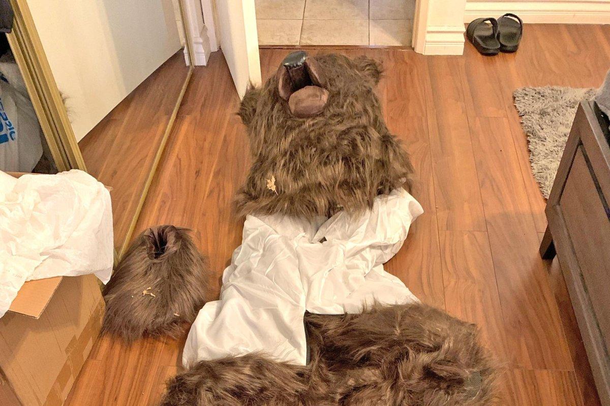 California Trio Sentenced in Operation Bear Claw Bear-Suit Insurance Fraud at Lake Arrowhead