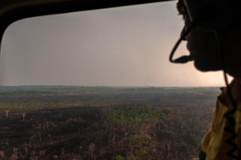 COP30 roadmap to end deforestation will invite countries to draft domestic plans