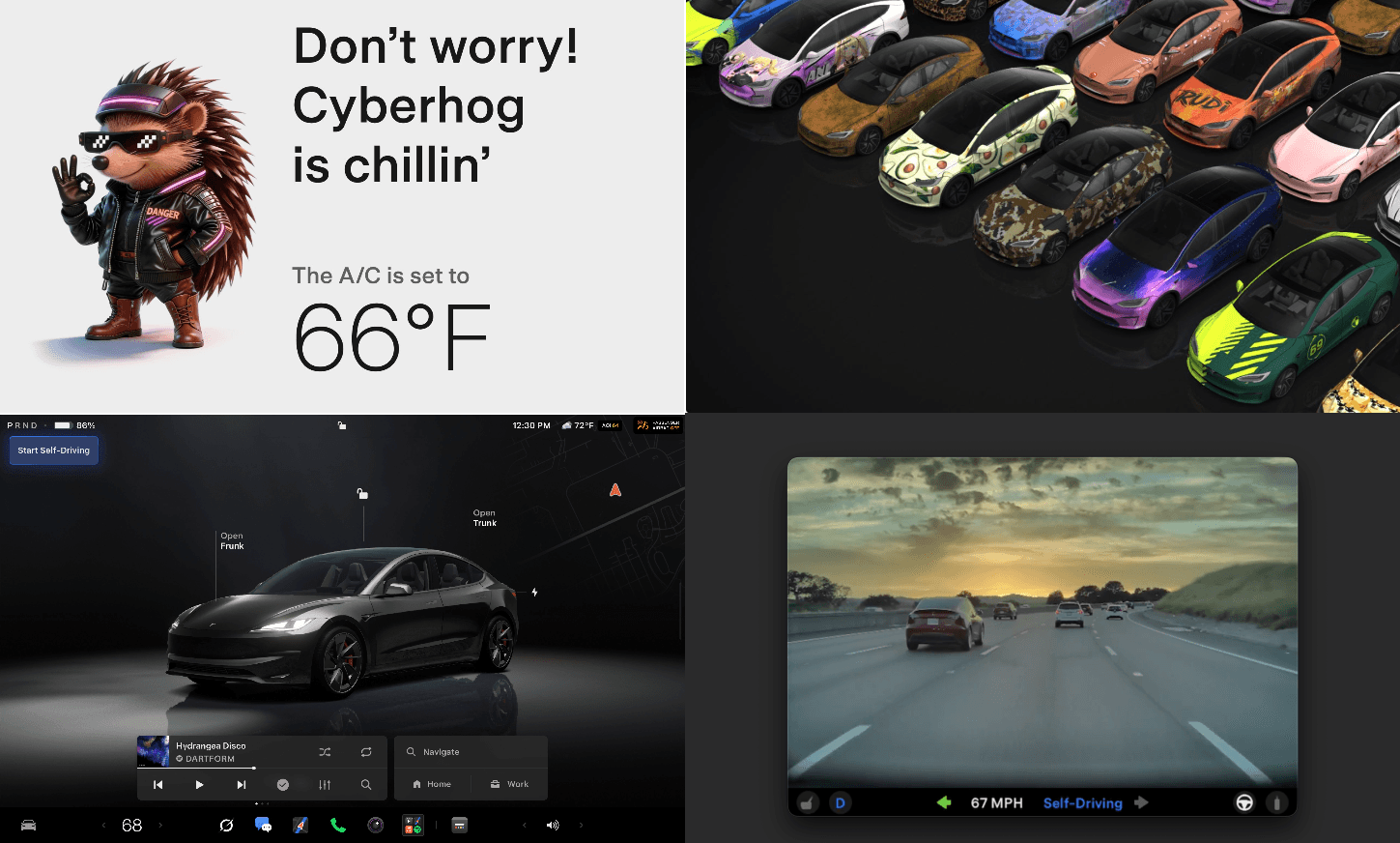 Image from Drive Tesla