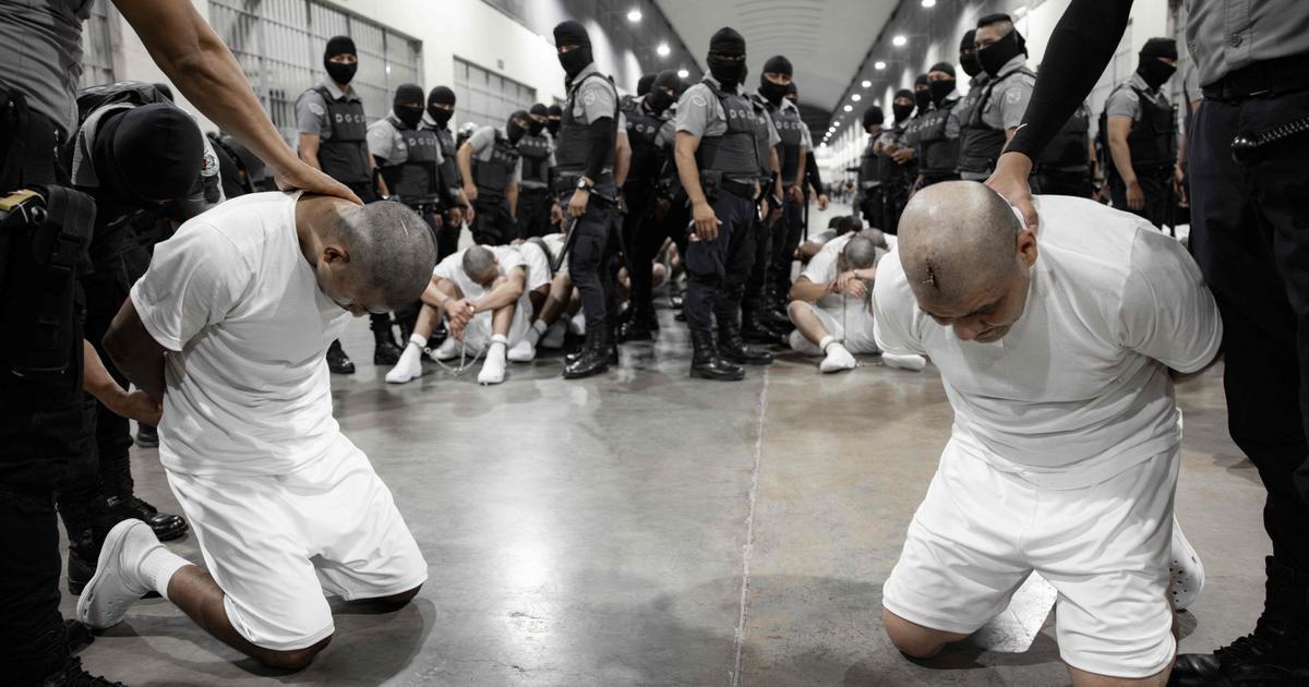 Image from Courrier international