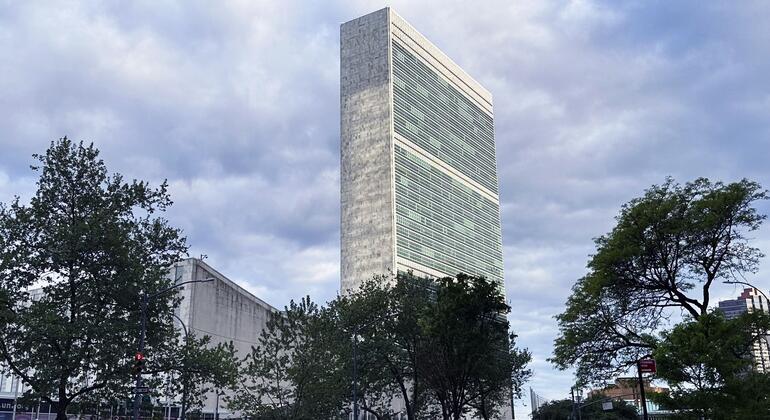 Image from UN News