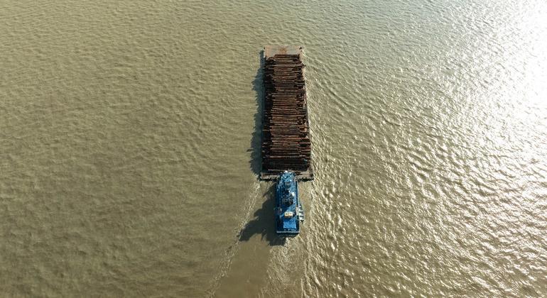 UN endorses maritime document to simplify global shipping and transport formalities