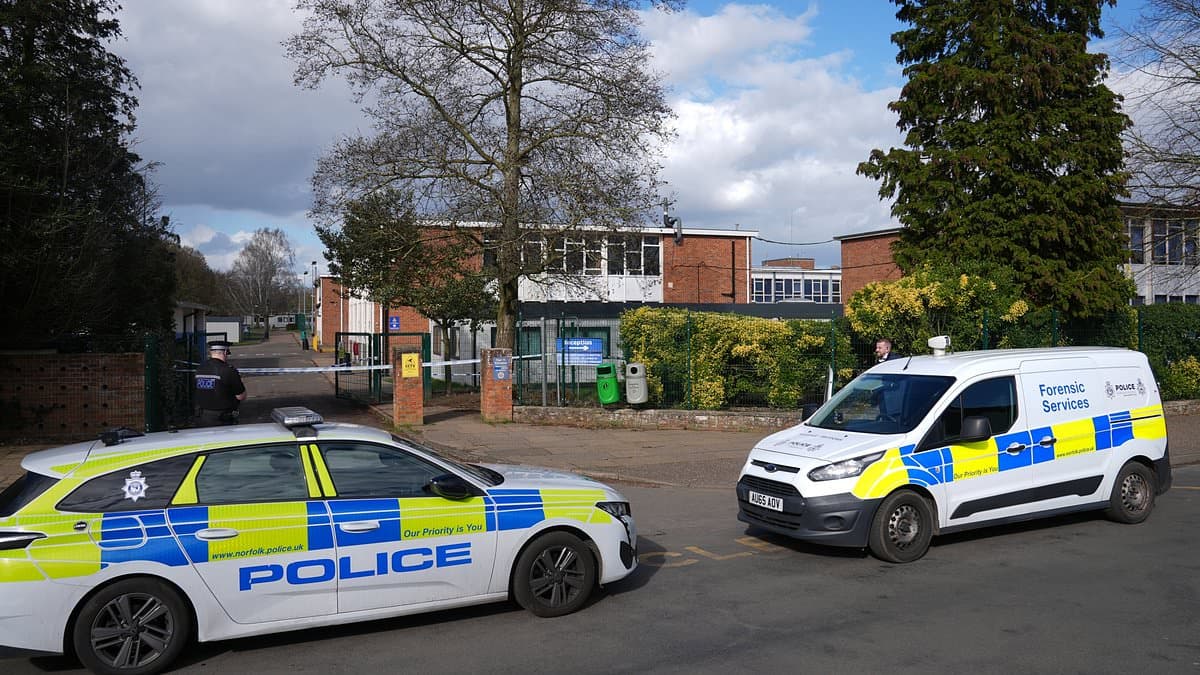 Image from Daily Mail