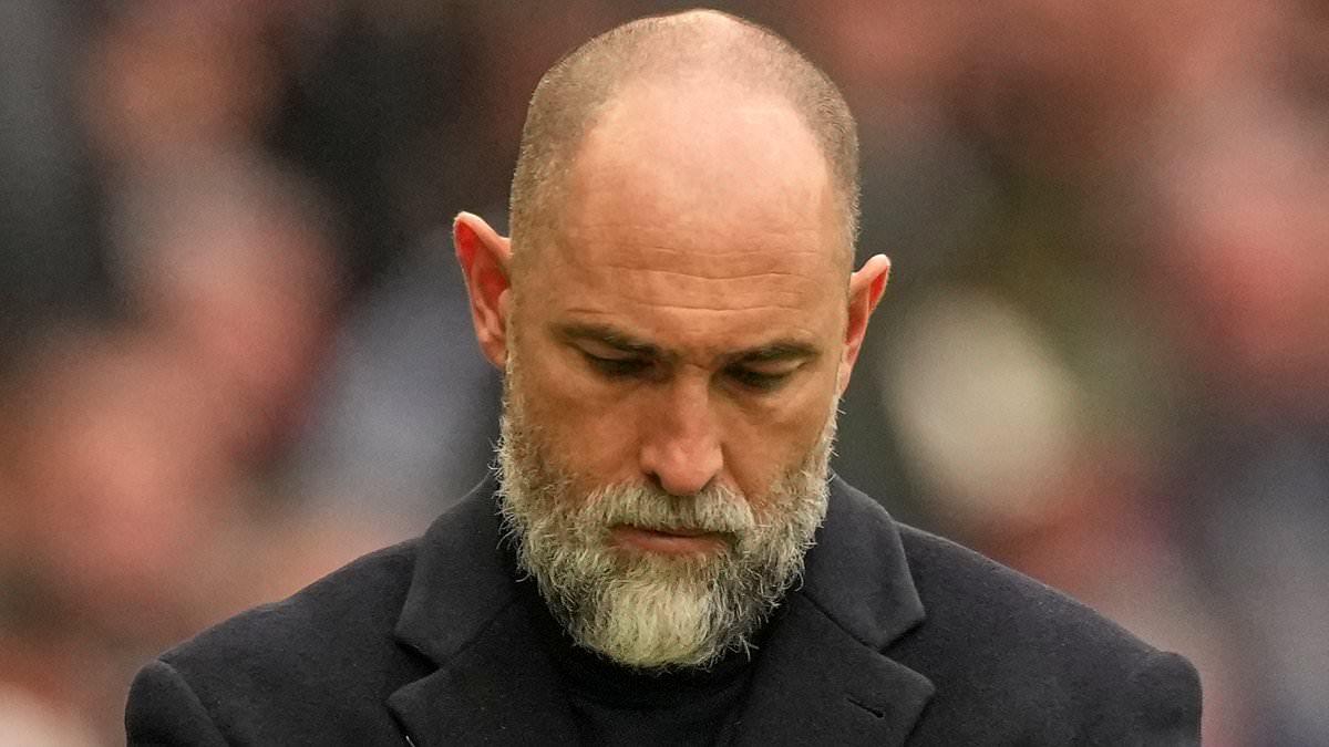 Image from Daily Mail