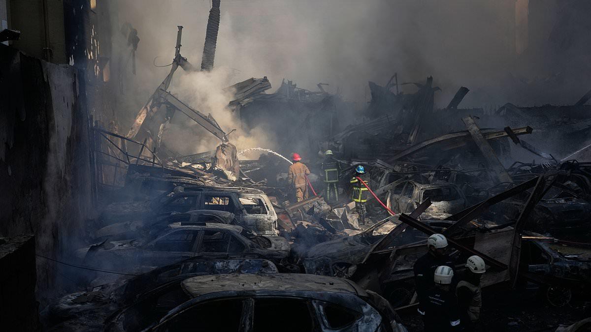 Image from Daily Mail