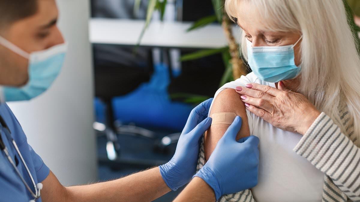 Image from Daily Mail