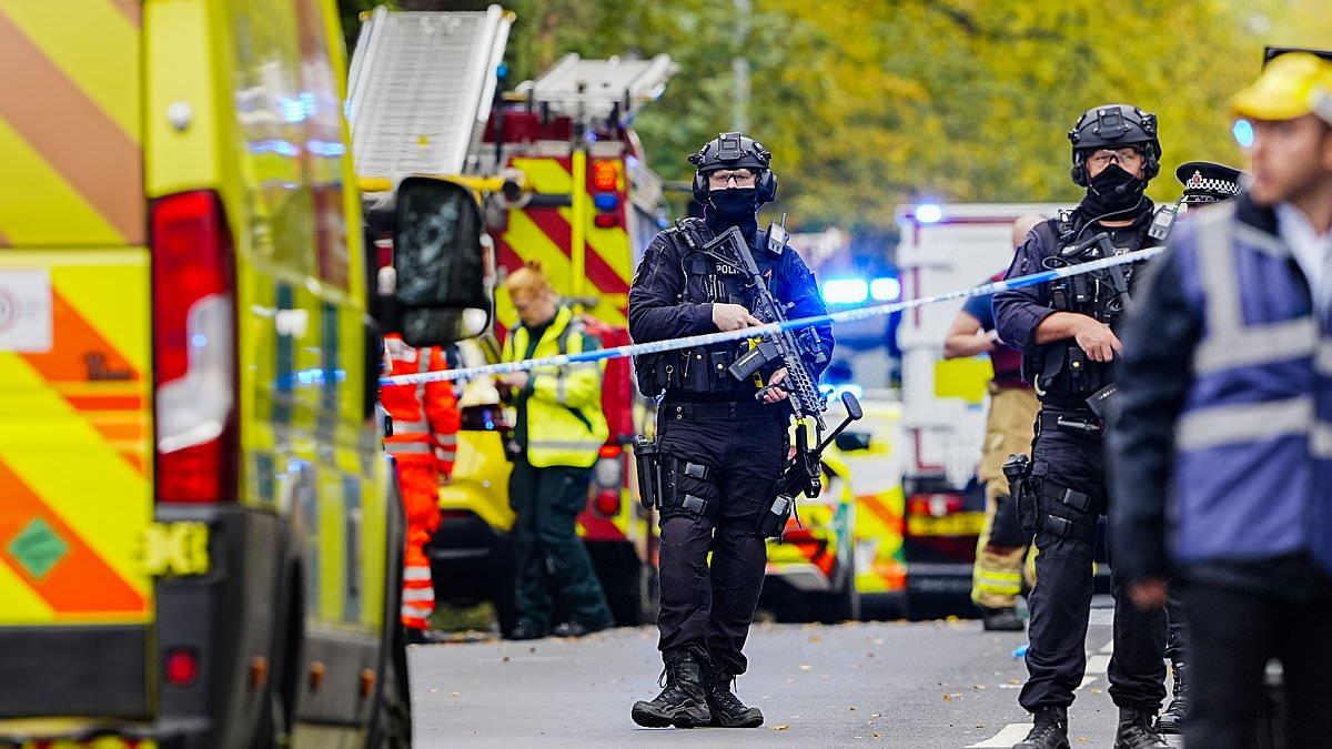 Image from Daily Mail