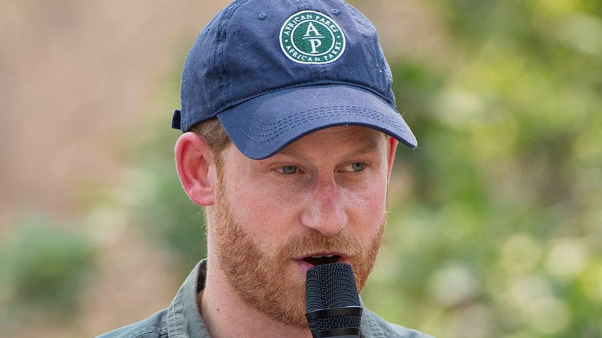 Prince Harry Steps Down From African Parks Board After Congo-Brazzaville Human Rights Abuses