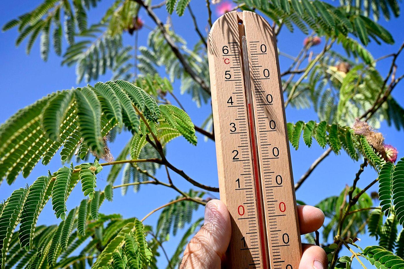 Copernicus Reports Western Europe Heat Waves Break June-July 2022 Temperature Record