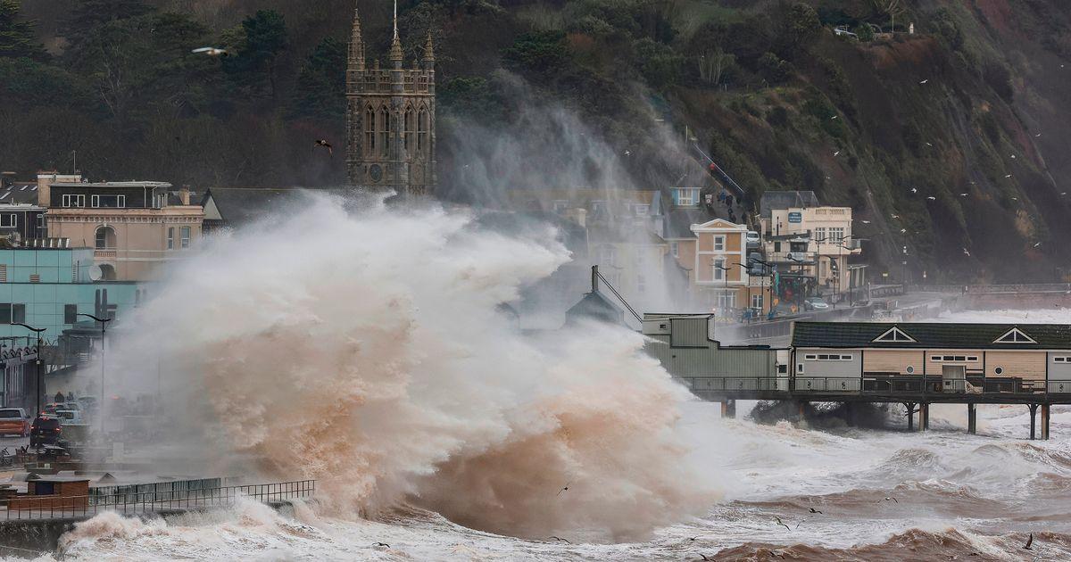 Image from devonlive