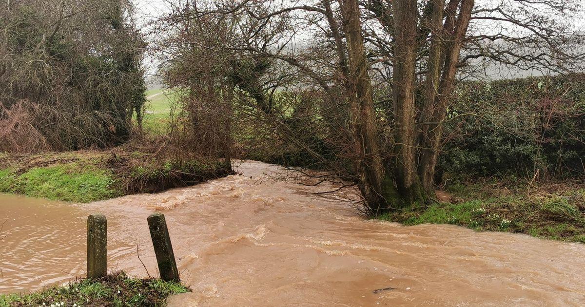 Image from coventrytelegraph.net