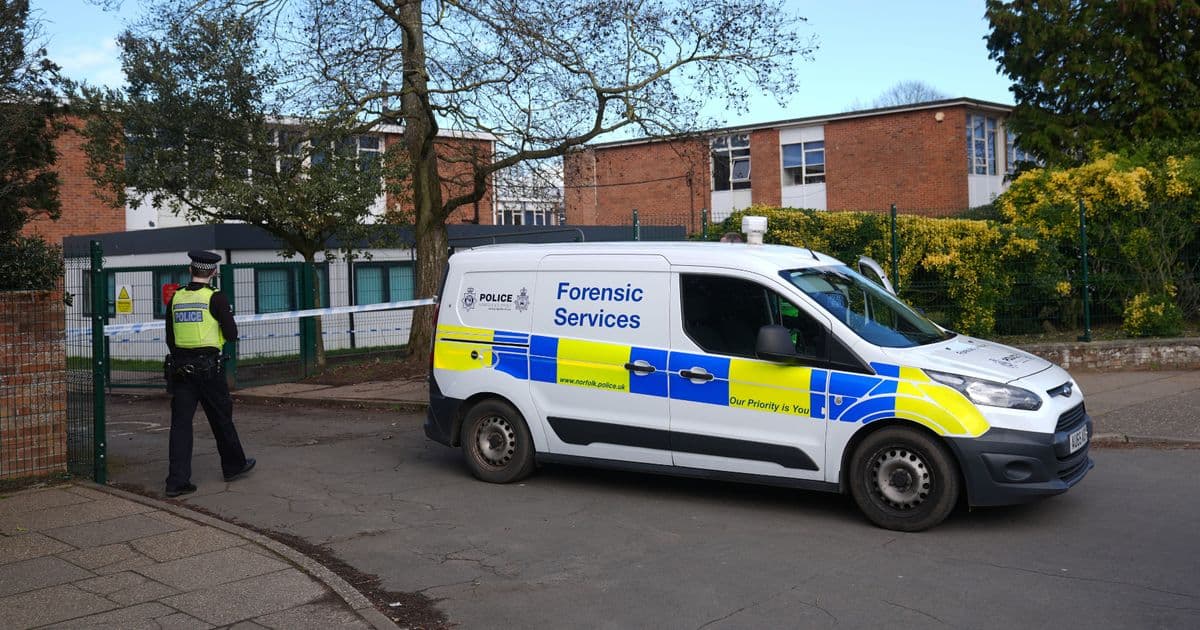 Police Charge 15-Year-Old With Attempted Murder After Stabbing Girl At Thorpe St Andrew School