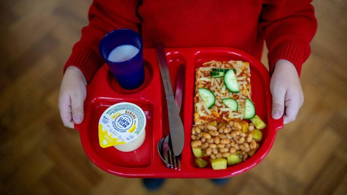 UK Government Bans Deep-Fried Foods in Schools to Combat Childhood Obesity