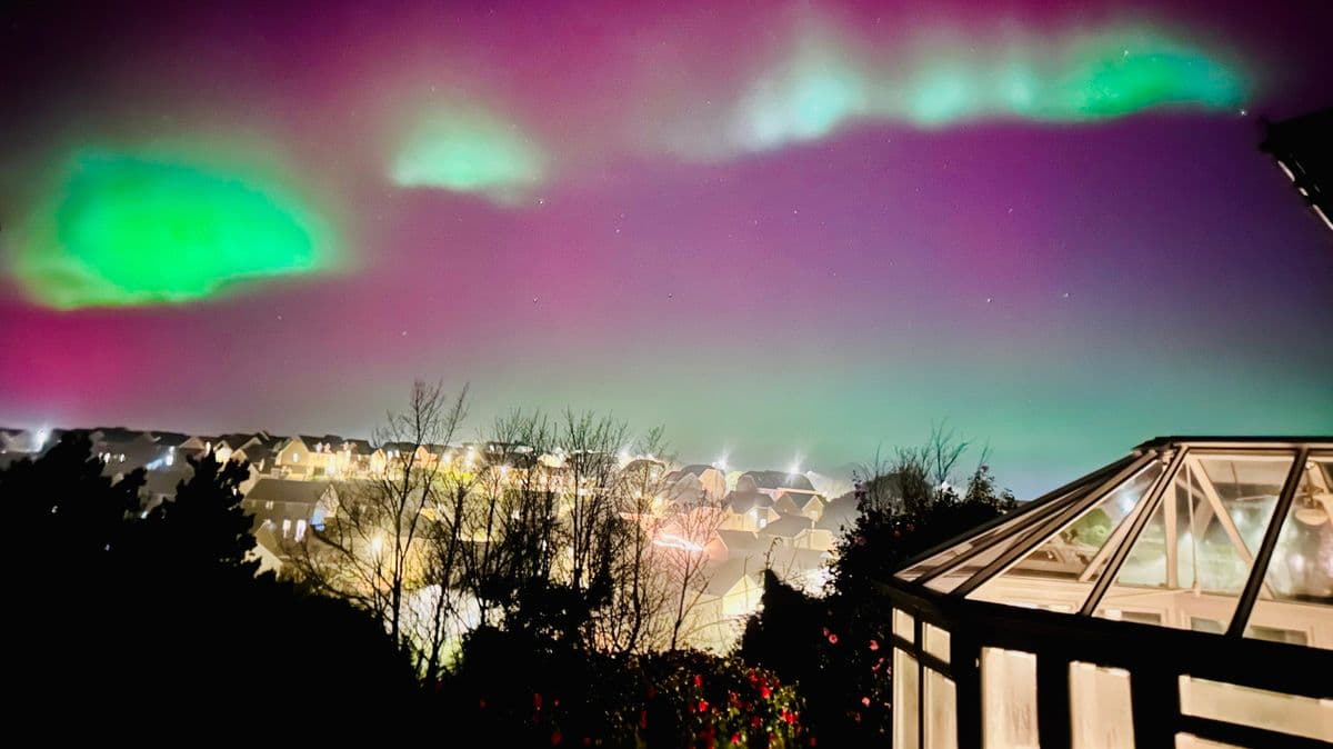 Image from The Mirror