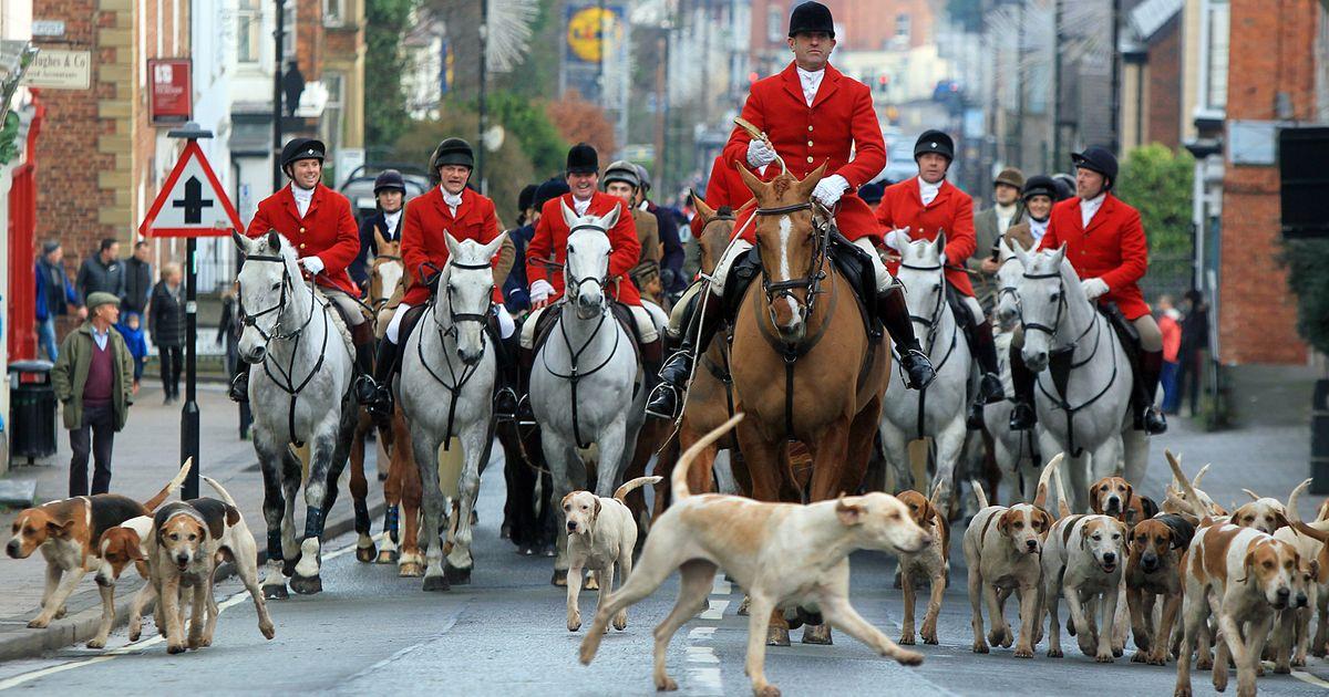 UK Government Bans Trail Hunting in England and Wales, Accuses Hunt Packs of Masking Illegal Foxhunting
