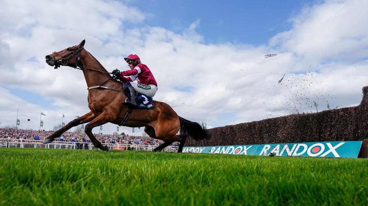 Willie Mullins' Gold Dancer Dies After Winning Mildmay Novices' Chase At Aintree