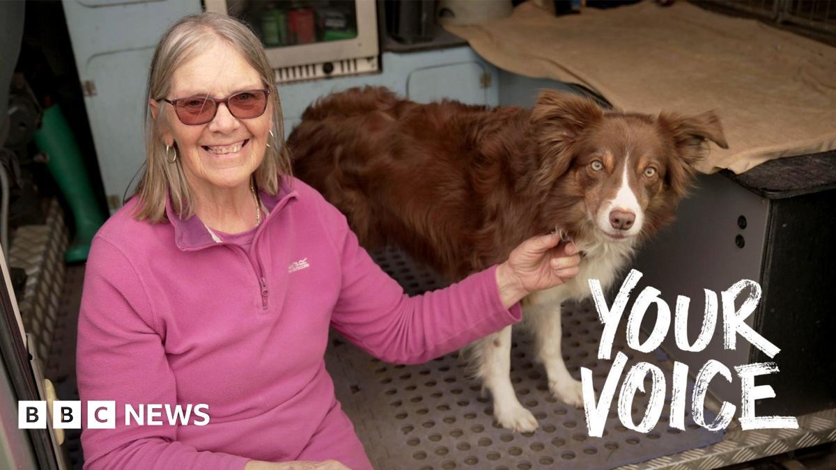 Dog Attacks Prompt Pet Owners to Pay Treatment After Insurers Cancel Coverage in Poland and Britain