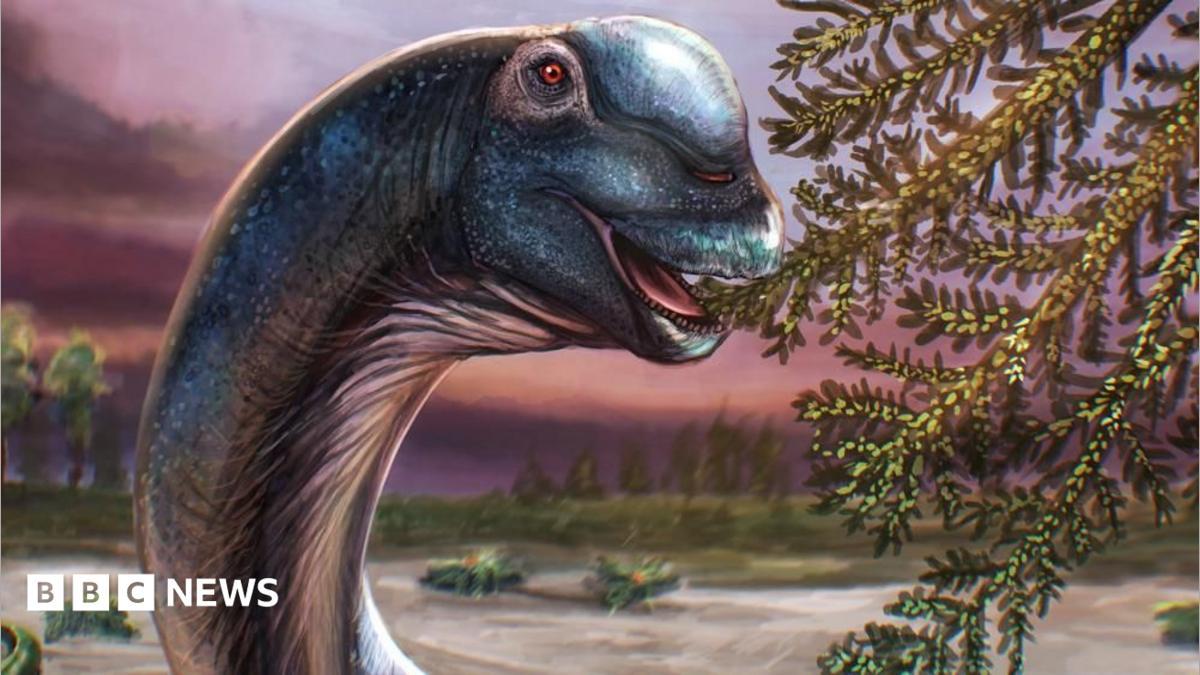 Image from BBC