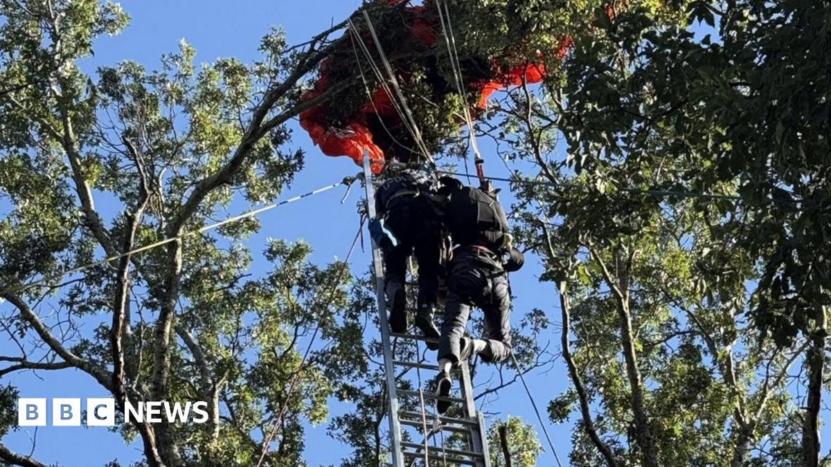 Skydiving Instructor Falls Without Parachute and Dies Near Nashville; Student Rescued From Tree