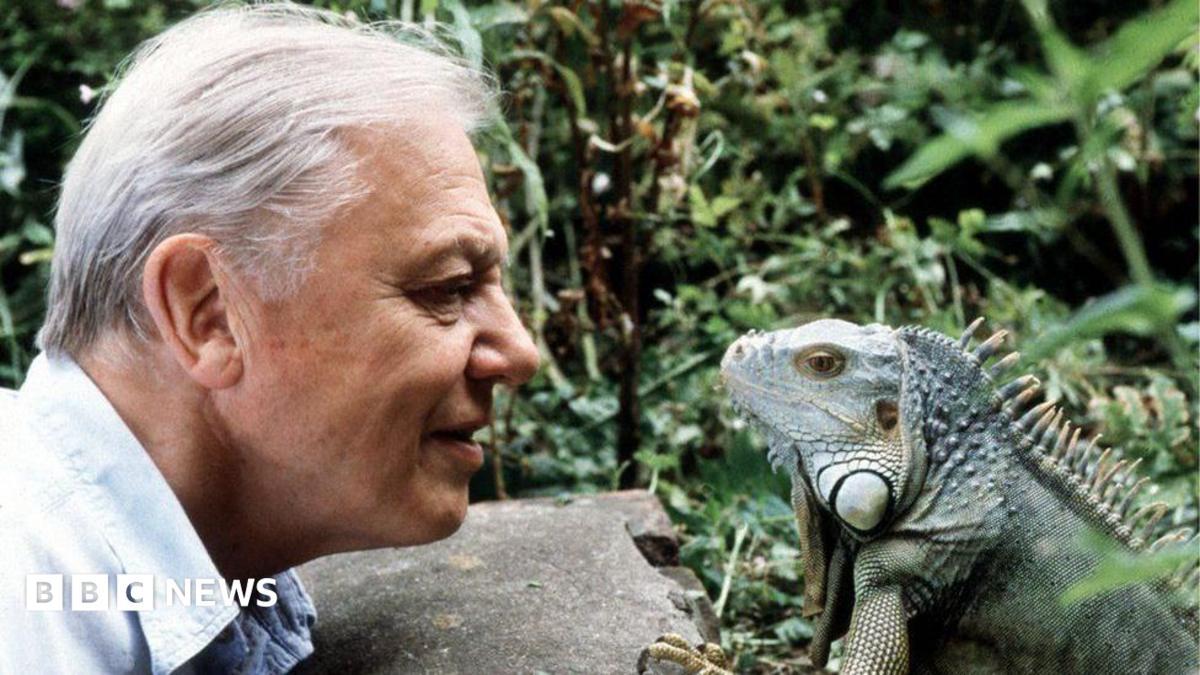 Image from BBC