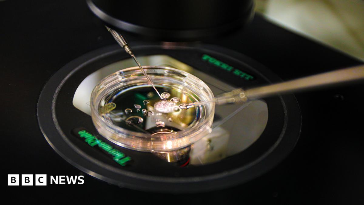 US Scientists Create Human Embryos From Skin Cell DNA for First Time