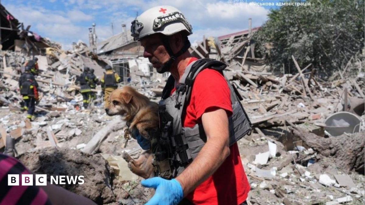Image from BBC