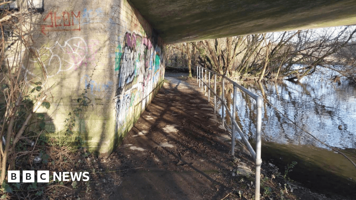 Attorney General Refers Teenage Rapists’ Sentences In Fordingbridge, Hampshire, To Court Of Appeal