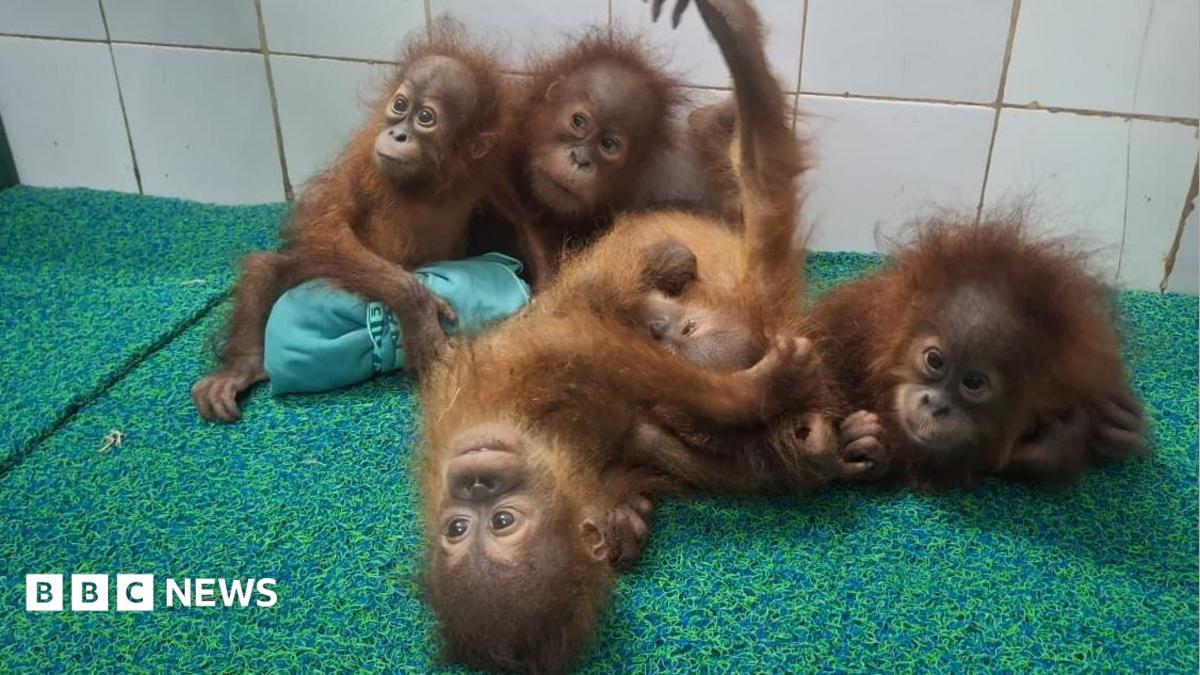 Image from BBC