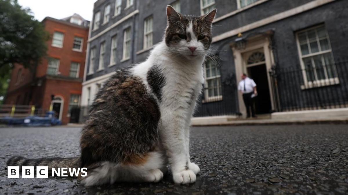Image from BBC