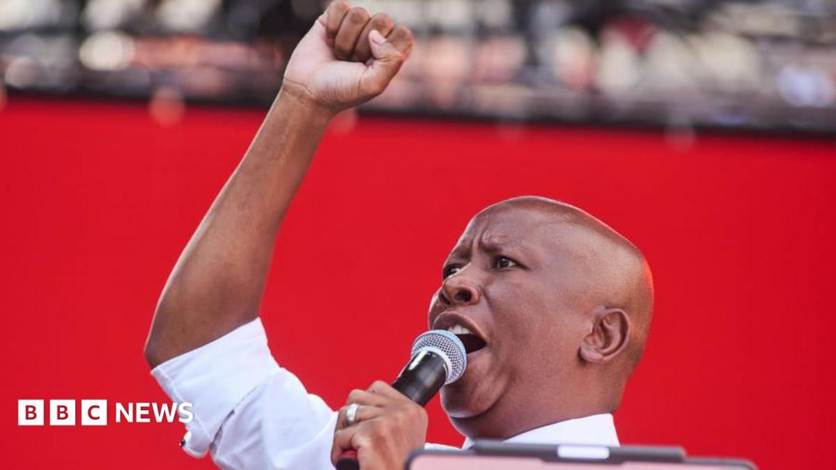 South African Court Convicts Julius Malema for Firing Gun Into Crowd at Political Rally
