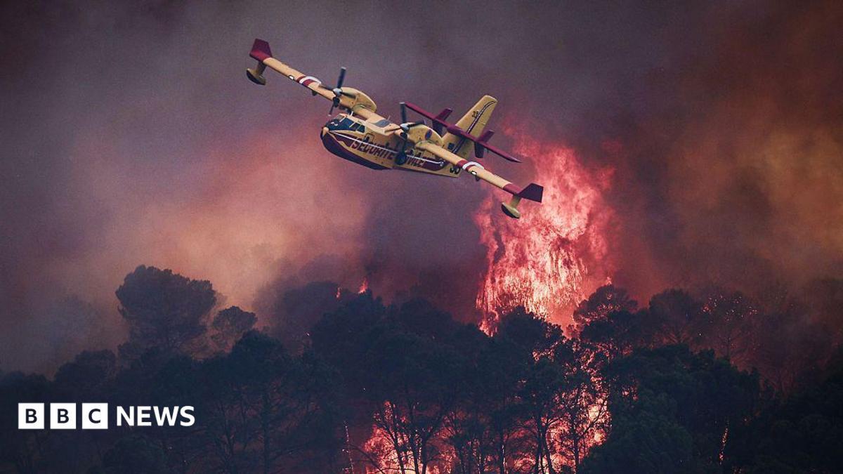 Image from BBC