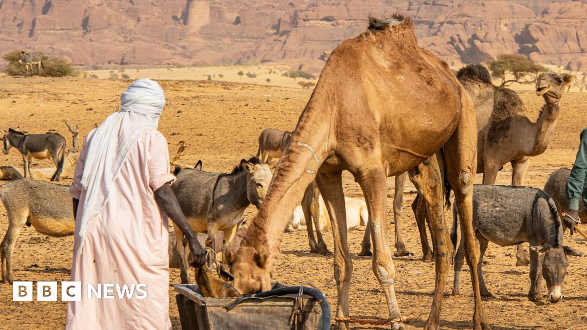 Image from BBC