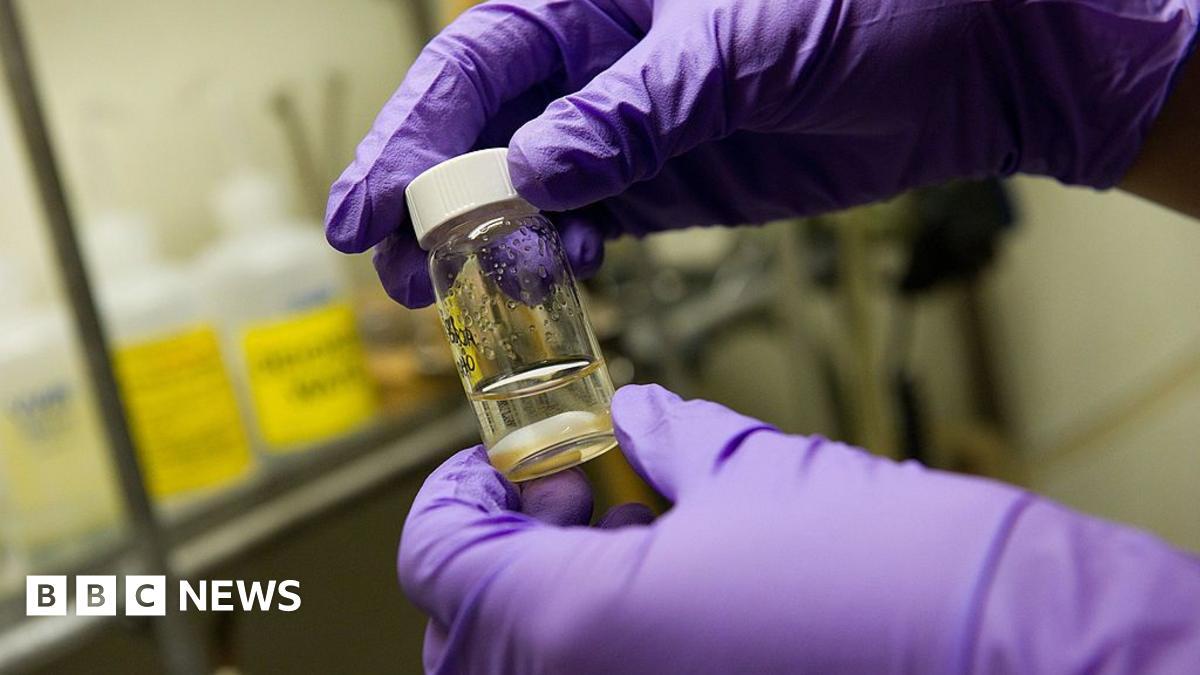 Image from BBC
