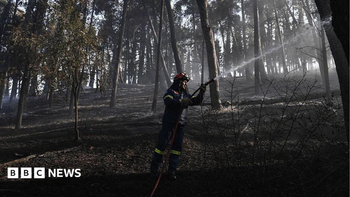 Image from BBC