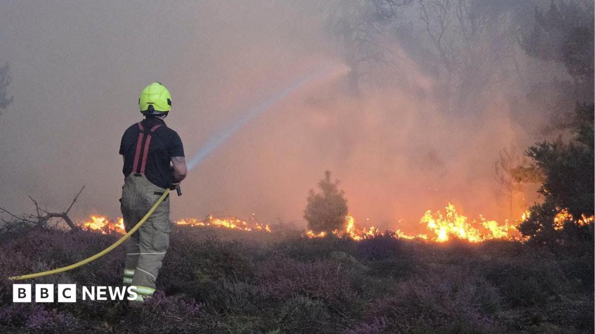 Suffolk Wildfire Grows Near Leiston, Evacuations Ordered as Dunwich Heath Blaze Spreads