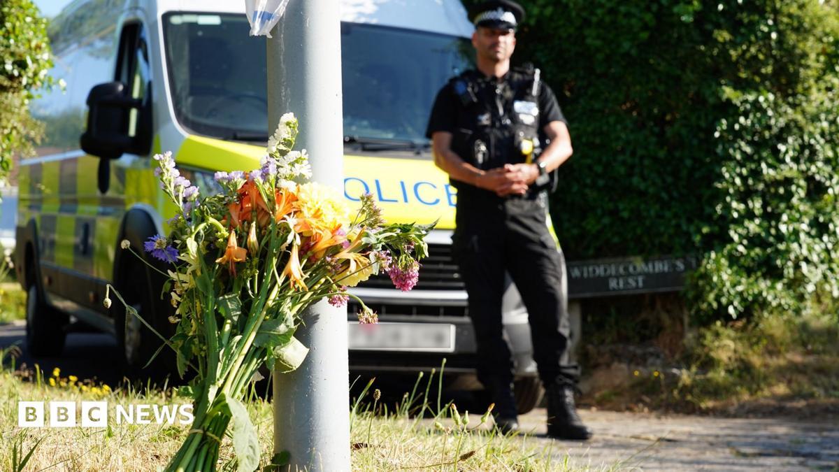 Ann Widdecombe Murder Suspect Arrested After Targeted Attack in Haytor on Dartmoor