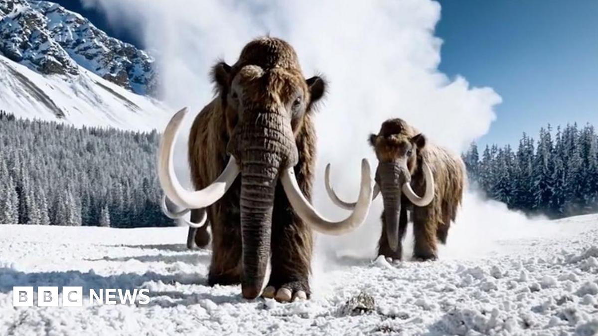 Image from BBC